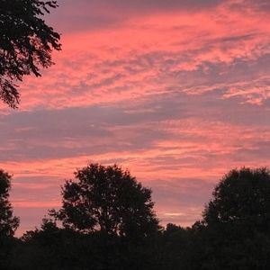 Meet your Posher, Michele